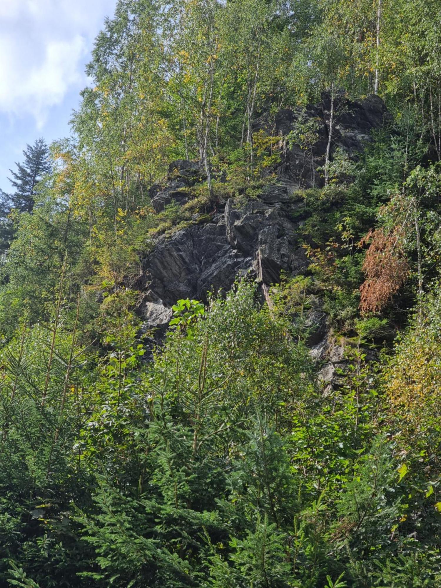 Roubenka Mlyn U Skaly Destne V Orlickych Horach Volne Terminy 5 Bytu ภายนอก รูปภาพ