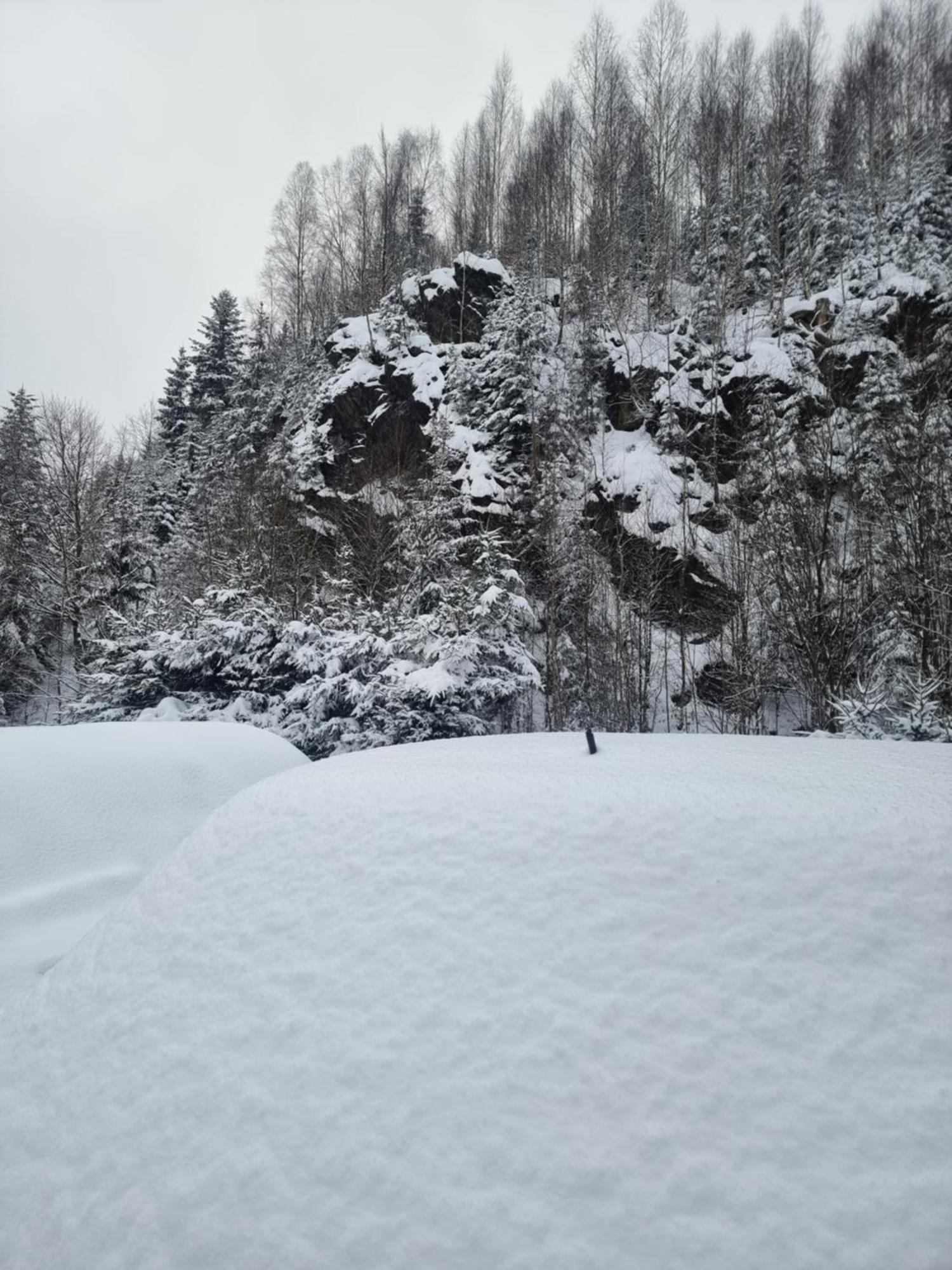 Roubenka Mlyn U Skaly Destne V Orlickych Horach Volne Terminy 5 Bytu ภายนอก รูปภาพ